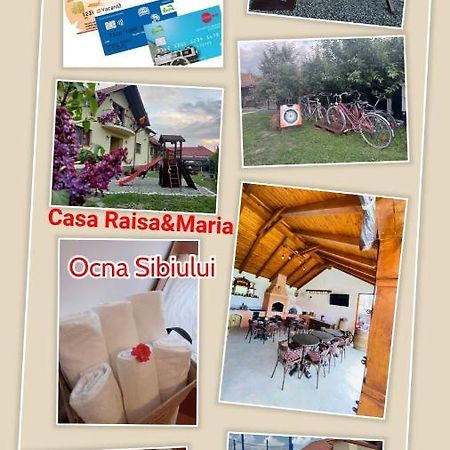 Hotel Casa Raisa & Maria Ocna Sibiului Exteriér fotografie
