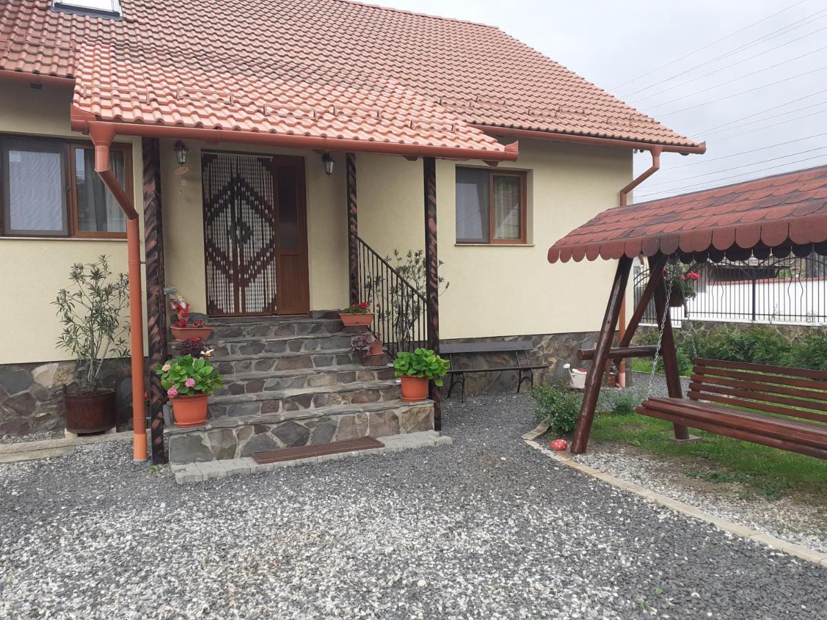 Hotel Casa Raisa & Maria Ocna Sibiului Exteriér fotografie