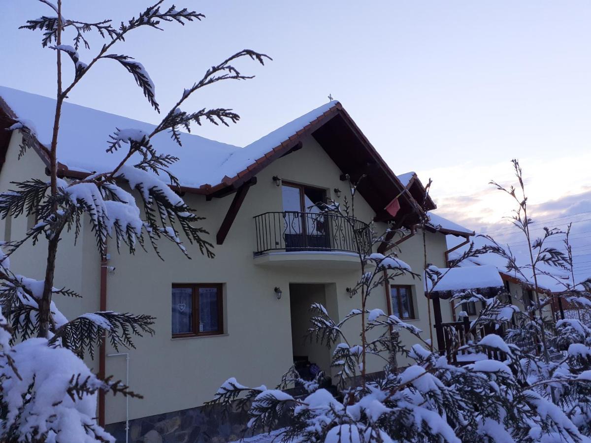 Hotel Casa Raisa & Maria Ocna Sibiului Exteriér fotografie