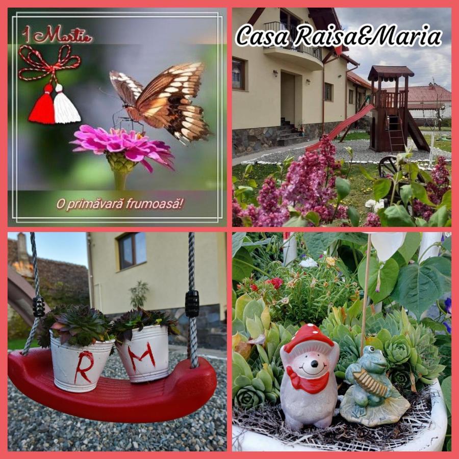 Hotel Casa Raisa & Maria Ocna Sibiului Exteriér fotografie